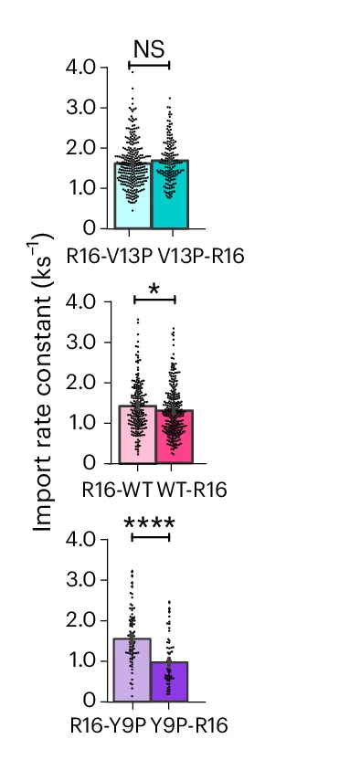 Open access visualization of Bar Plot, Scatter Plot, Import Rates, Recovery Time Courses, R16-V13P