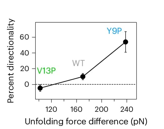 Open access visualization of Line Plot, Error Bars, Relative Directionality, Import Rates, Protein Constructs