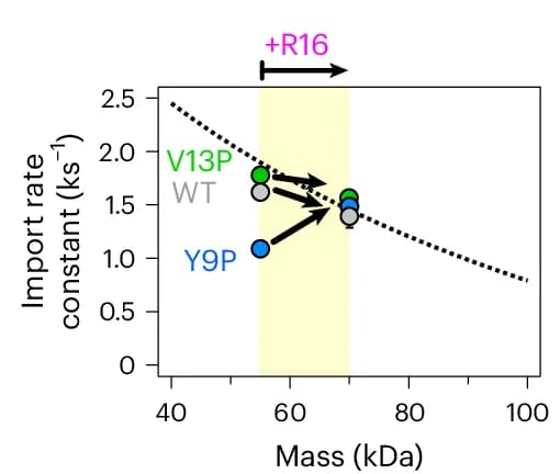 Open access visualization of Scatter Plot, Regression Plot, Error Bars, Import Kinetics, Monomers