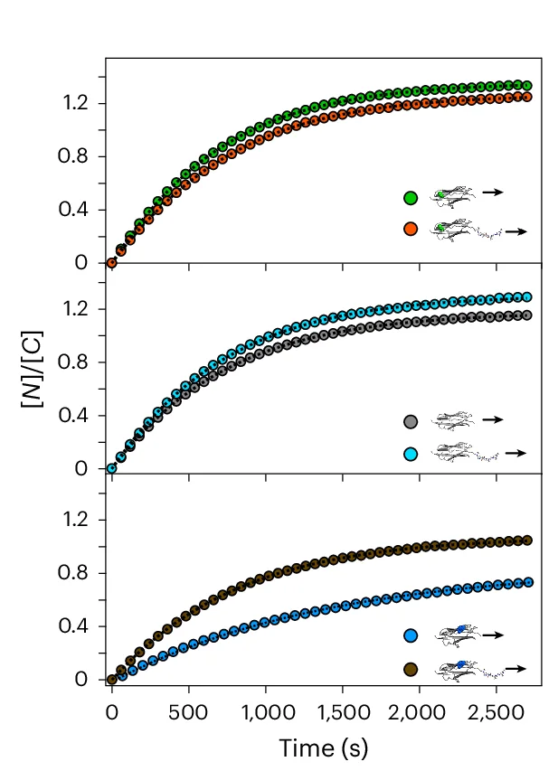 Open access visualization of Line Plot, Scatter Plot, Time Courses, Nucleus-to-Cytoplasm Localization, Protein Construct