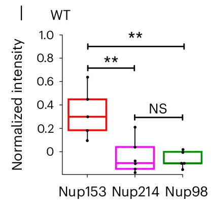 Open access visualization of Box Plot, Scatter Plot, Dot Blot, Intensity, Nups