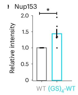 Open access visualization of Bar Plot, Error Bars, Dot Blot, Intensity, Nup153