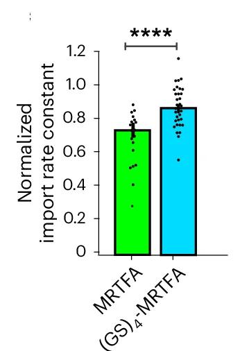 Open access visualization of Bar Plot, Scatter Plot, Nuclear Import Rates, MRTFA, GS4-MRTFA