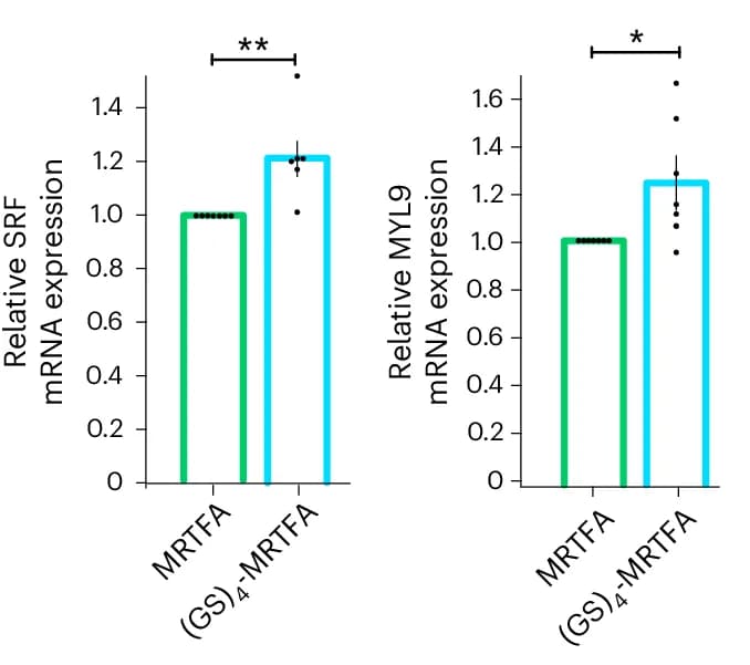 Open access visualization of Bar Plot, Error Bars, RT-qPCR, U2OS Cells, MRTFA-GFP