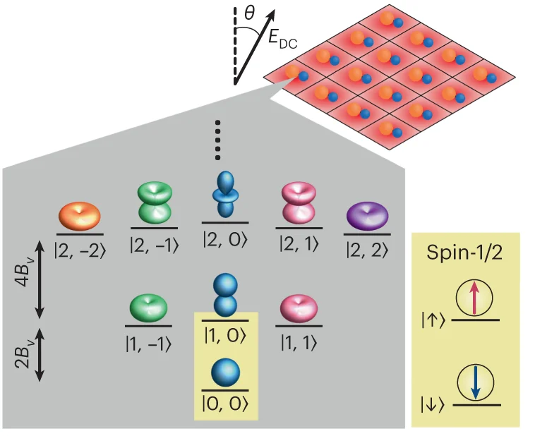 Open access visualization of Illustration, Workflow, Pseudo-spins, Qubits, Rotational states