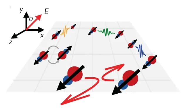 Open access visualization of Illustration, Itinerant Quantum Magnetism, Two-Dimensional Gas, Molecules
