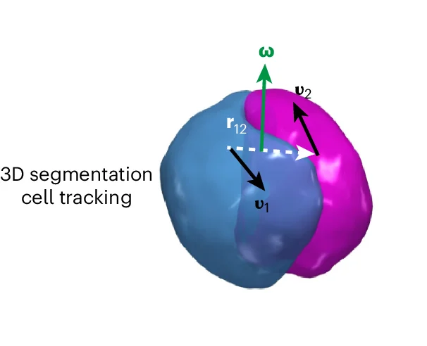 Open access visualization of 3D Plot, Rotation Vector, Centre of Mass Velocities, Cell Centres