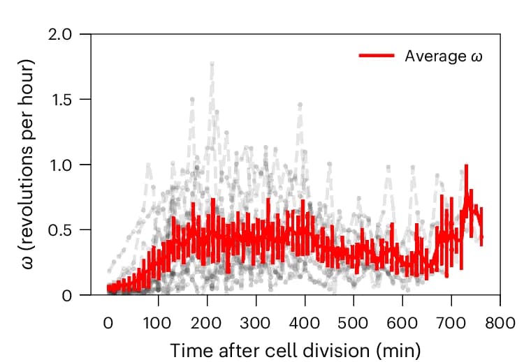 Open access visualization of Line Plot, Scatter Plot, Line Step, Rotational Velocity, Cell Doublets