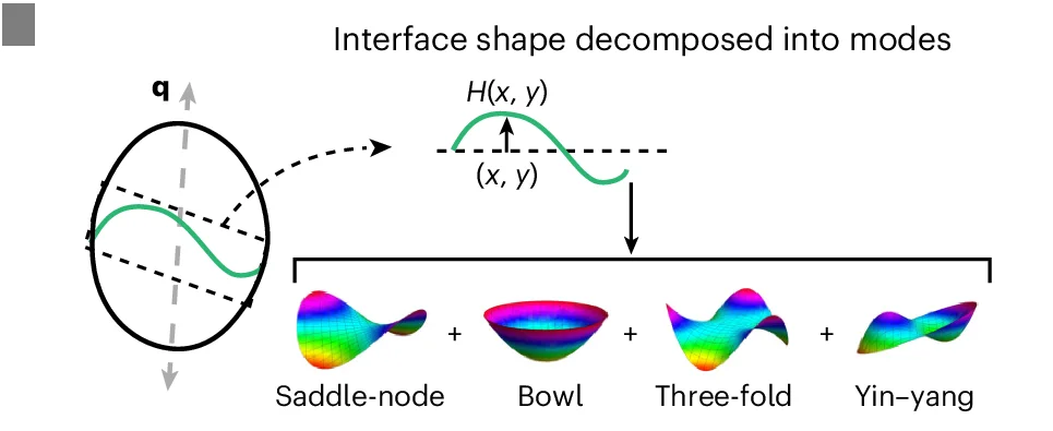 Open access visualization of Illustration, Workflow, Interface Shape, Height Profile, Symmetry Modes
