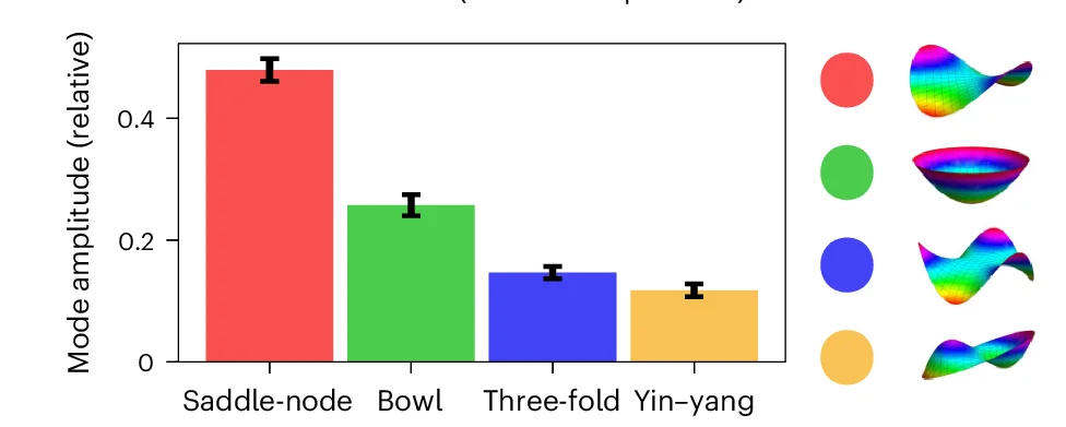 Open access visualization of Bar Plot, Error Bars, 3D Plot, Interface Deformation Modes, Cell Interface