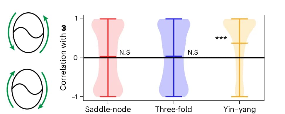 Open access visualization of Violin Plot, Box Plot, Deformation Mode Orientation, Direction of Rotation, Statistical Tests