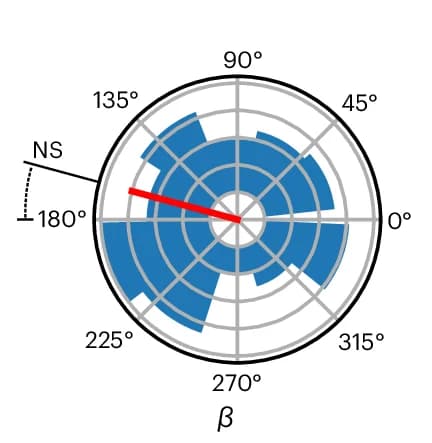 Open access visualization of Bar Plot, Histogram, Polarity Vectors, Cell Polarity, Cell Doublets