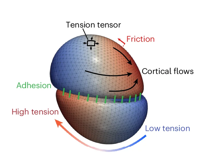 Open access visualization of 3D Plot, IAS Simulation, Rotating Doublet, Schematic