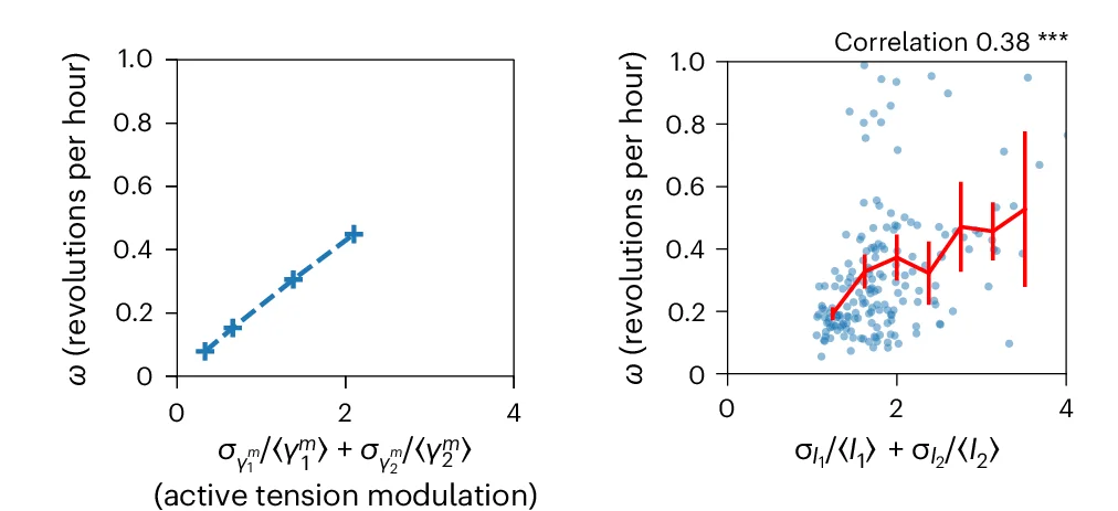 Open access visualization of Scatter Plot, Line Plot, Error Bars, Rotation Velocity, Simulated Doublet