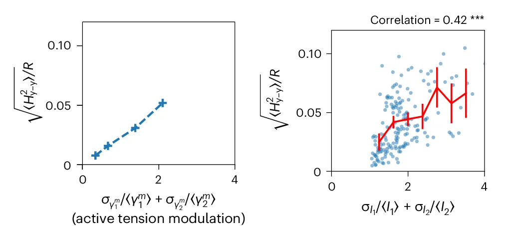Open access visualization of Scatter Plot, Line Plot, Error Bars, Dimensionless Amplitude, Yin-Yang Deformation Mode