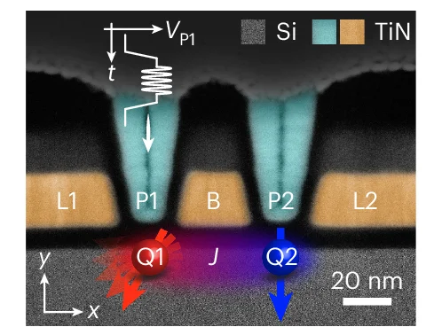 Open access visualization of Microscopy, Transmission Electron Microscope, Device, Qubits, Plunger Gates