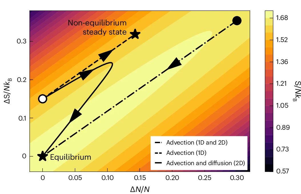 Open access visualization of Heatmap, Line Plot, Initial Conditions, Reservoirs, Entropy