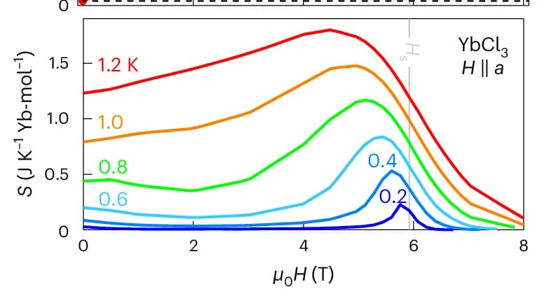 Open access visualization of Line Plot, Magnetic field, Entropy, Temperature