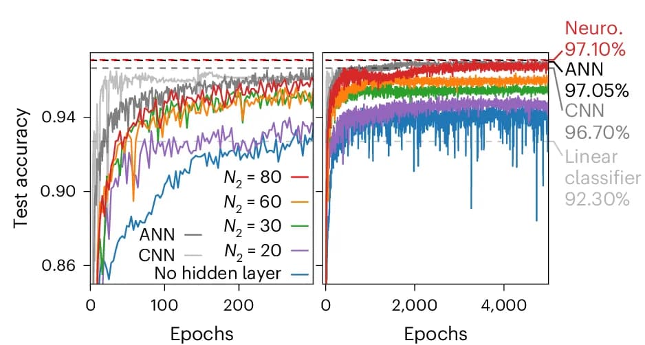 Open access visualization of Line Plot, Test Accuracy, Training, Architectures, Linear Classifier