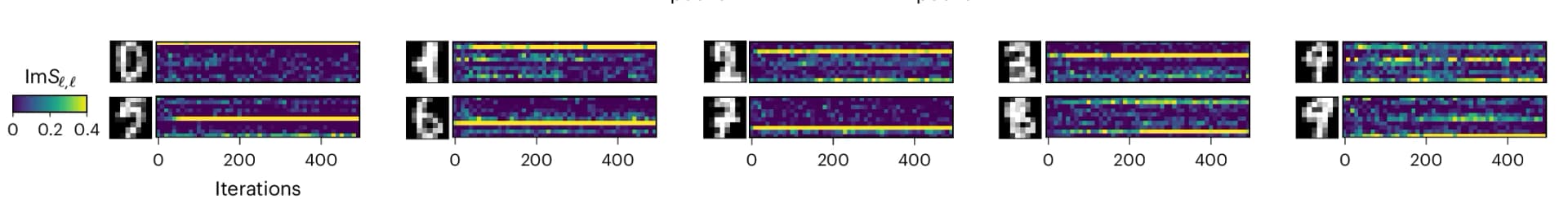 Open access visualization of Heatmap, Photo, Convergence, Training Progress, Input Pictures