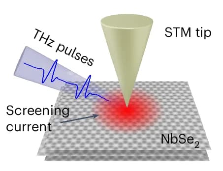 Open access visualization of Illustration, CDW Dynamics, STM, THz Pulses, Pump-probe Detection