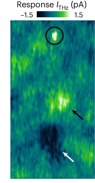 Open access visualization of Heatmap, THz-Induced Current, THz Pulse Amplitude, Topography, Defect Density