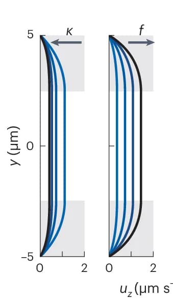 Open access visualization of Line Plot, Net Flow, Porous Layer Resistance, Cilia Activity