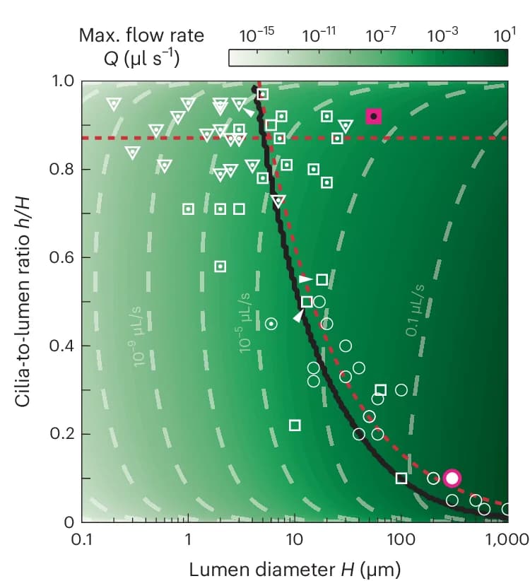 Open access visualization of Scatter Plot, Line Plot, Heatmap, Flow Rate, Morphospace