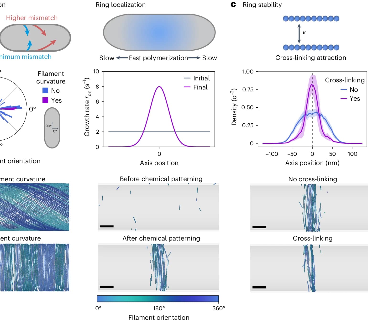 Open access visualization of Line Plot, Density Plot, Radar Chart, Illustration, Spatial Modulation