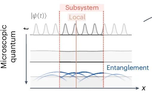 Open access visualization of Line Plot, Density Plot, Ridge Plot, Quantum System, Density Variations