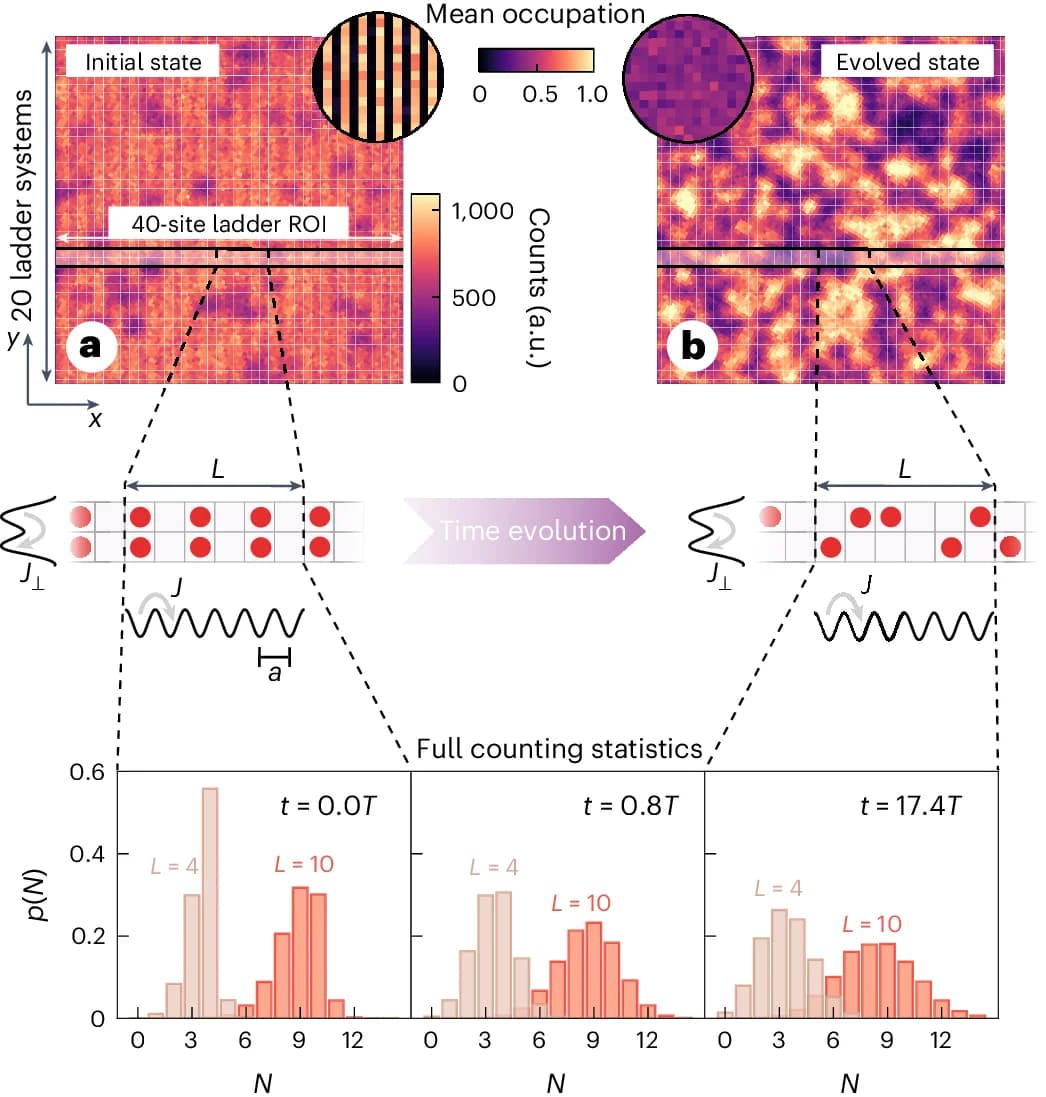 Open access visualization of Histogram, Heatmap, Single-Site Resolution, Counting Statistics, Particle Number