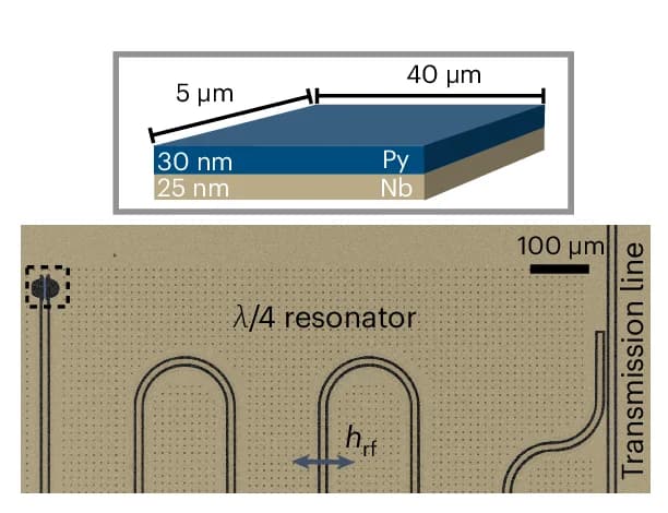 Open access visualization of Microscopy, Illustration, Cross-Section, S-F Bilayer, Coplanar Resonator