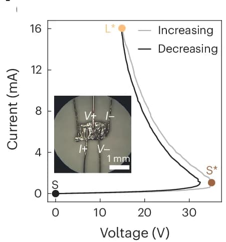 Open access visualization of Line Plot, Photo, Microscopy, I-V Curve, Transport-ARPES