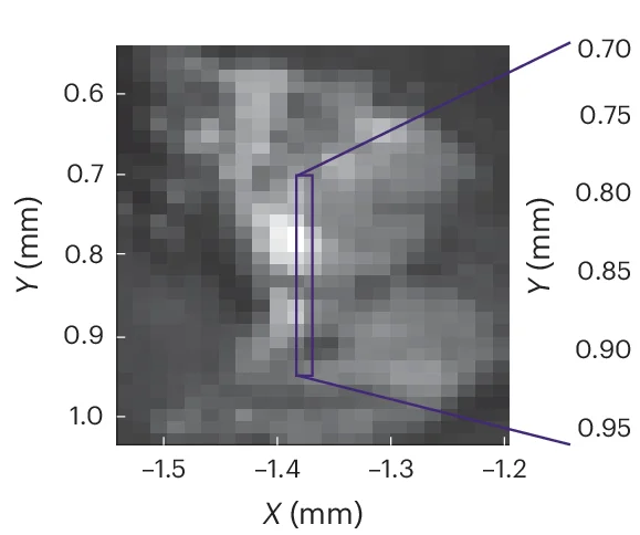 Open access visualization of Microscopy, Spatial Map, Cleaved Section, Sample, Ca 3p Core Level