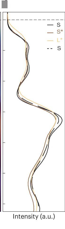 Open access visualization of Line Plot, Heatmap, ARPES, Spectral Weight