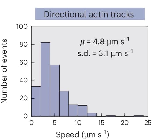 Open access visualization of Histogram, Actin Tracks, Speeds