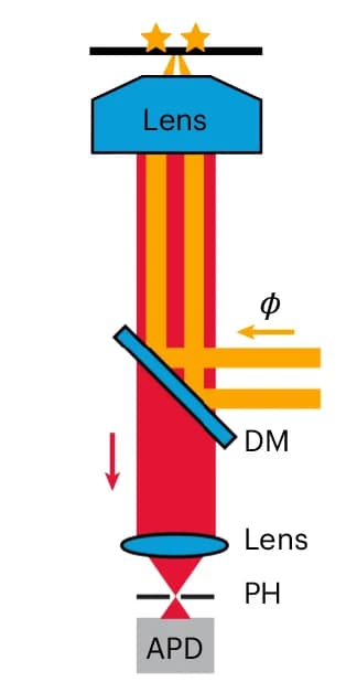 Open access visualization of Workflow, Illustration, Fluorescence Microscope, Photon-Counting Detection, Dichroic Mirror