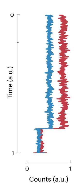 Open access visualization of Line Plot, Line Step, Averaged Counts, MINFLUX, Bleaching Steps