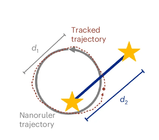 Open access visualization of Illustration, Measurement, Nanoruler, Fluorophores, Microscope Stage