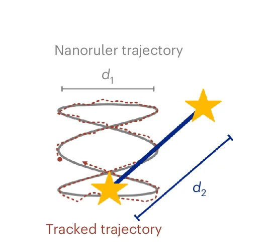 Open access visualization of Line Plot, Nanoruler, Lissajous Figure, Amplitude