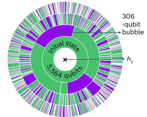 Open access visualization of Donut Chart, Spin Configuration, Quantum Simulation, False Vacuum, Quantized Bubble