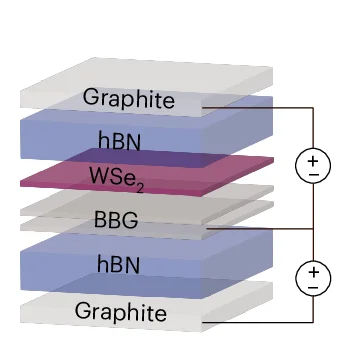 Open access visualization of Illustration, BBG, WSe 2, Schematic