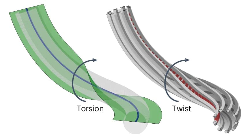 Open access visualization of 3D Plot, Axoneme, Torsion, Twist, Bending Plane