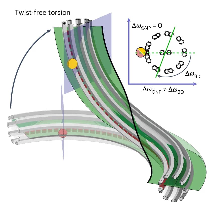 Open access visualization of 3D Plot, Scatter Plot, Axoneme, GNP, Twist-Free Torsion