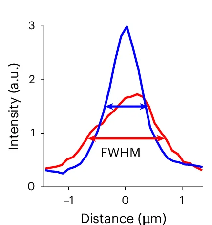 Open access visualization of Line Plot, Chlamydomonas Reinhardtii Cell, Phase-Contrast Microscopy