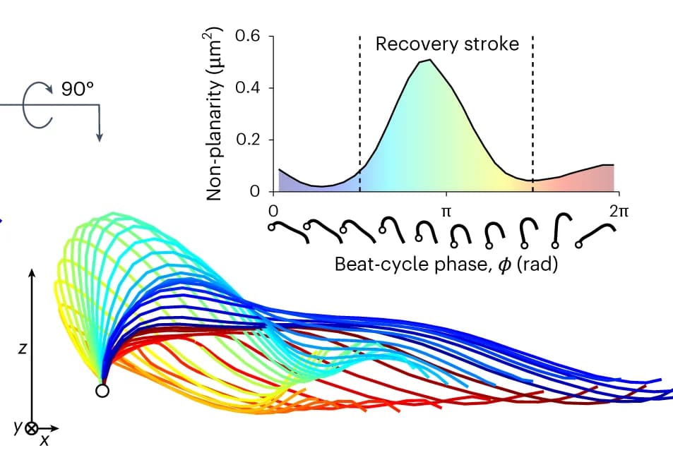 Open access visualization of Line Plot, 3D Plot, 3D Waveform, Projection, Non-planarity