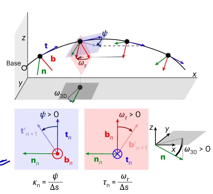 Open access visualization of Illustration, Torsion, 3D Curvature, Frenet–Serret Frame