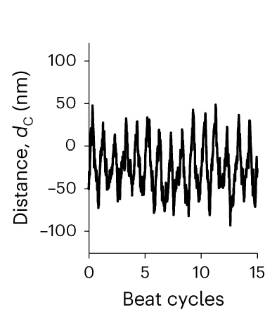 Open access visualization of Line Plot, Time-Dependent Distance, Centre Line, Plot