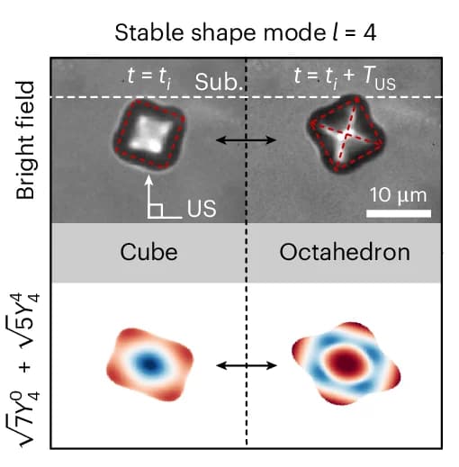 Open access visualization of Microscopy, Shape Modes, Angular Wavenumbers, Bright-Field Snapshots, Ultrasound Cycles