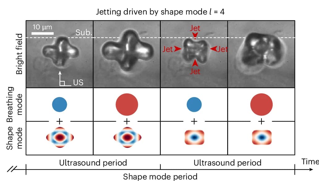 Open access visualization of Microscopy, Illustration, Jets, Shape Modes, Angular Wavenumbers